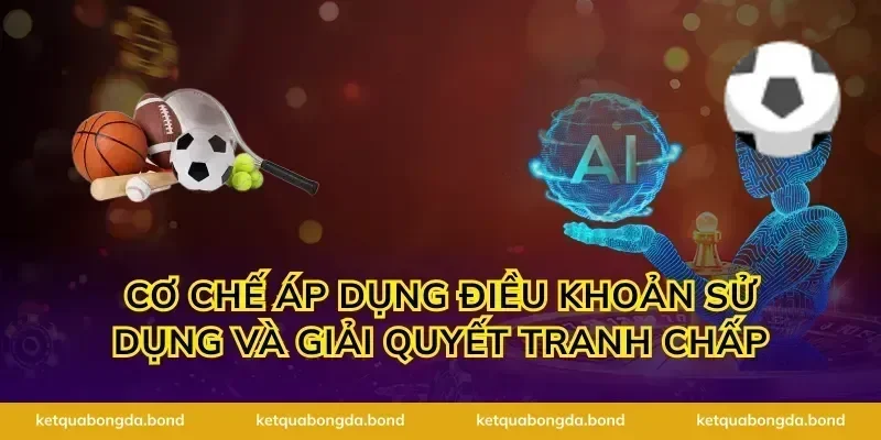 Cơ chế áp dụng điều khoản sử dụng và giải quyết tranh chấp
